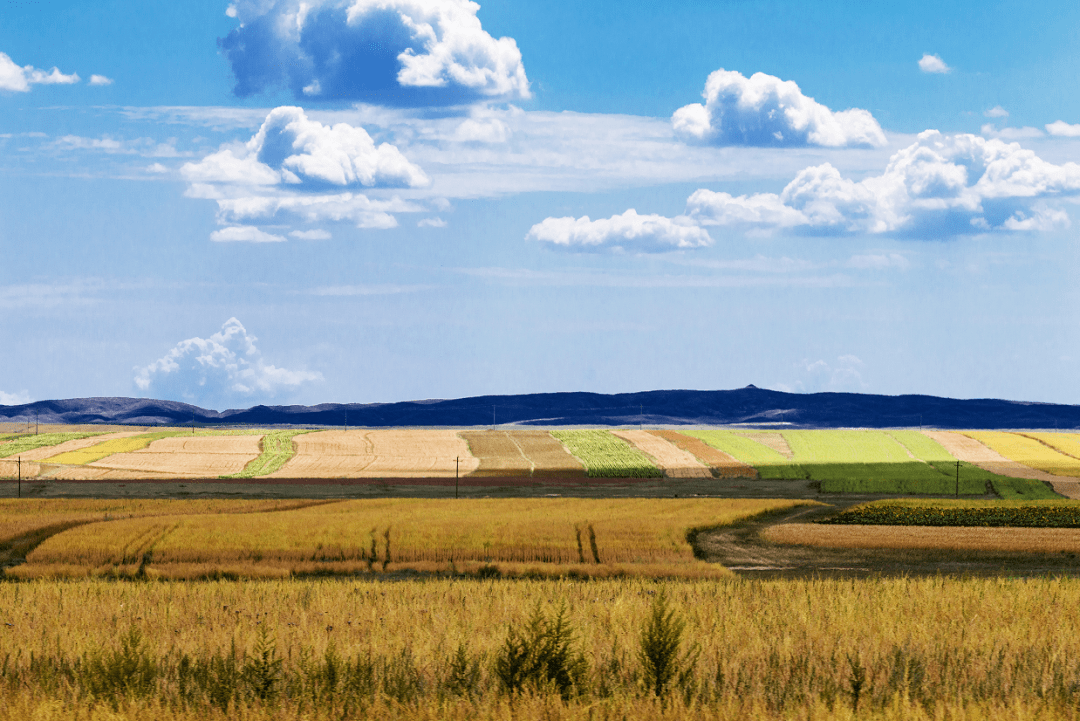 正是这样的奥运精神与企业精神,激励着三主粮攻坚克难,砥砺奋进,勇往