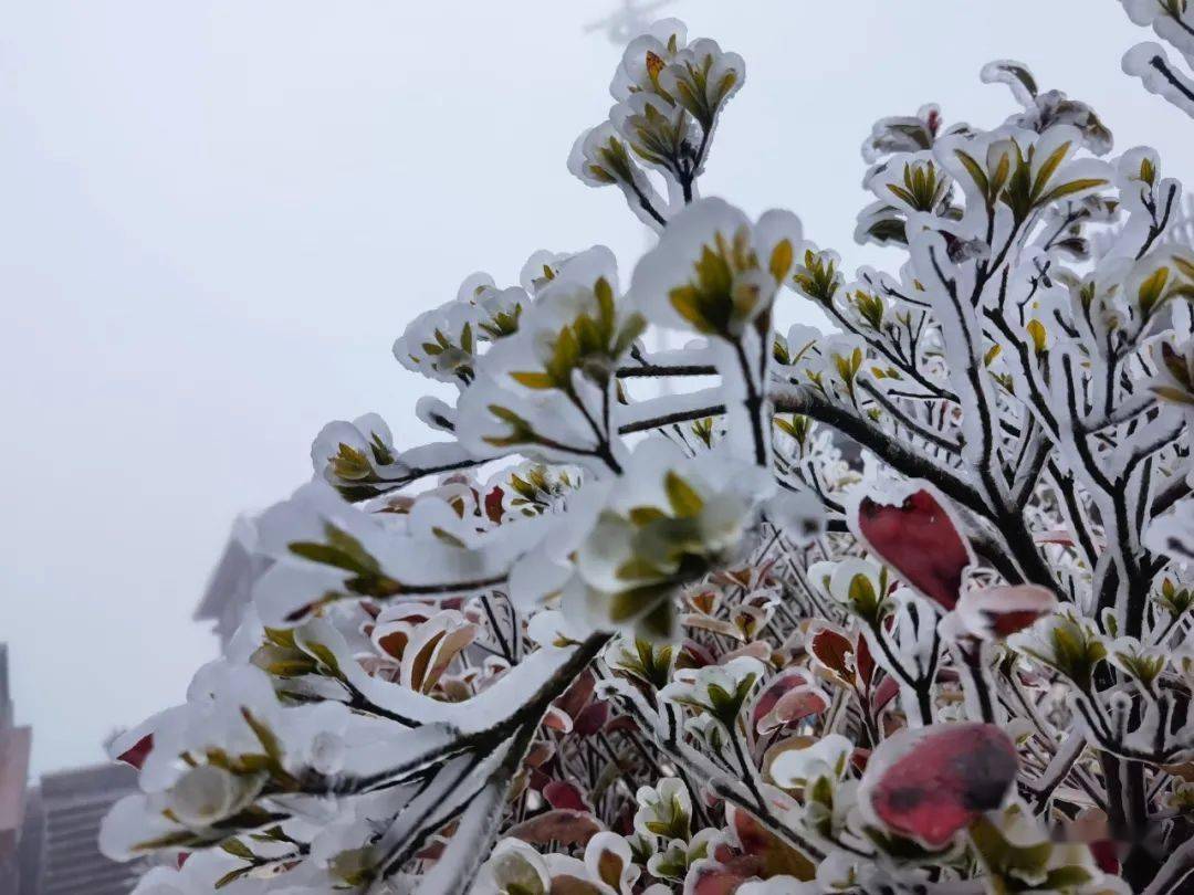 泉州九仙山下雪图片