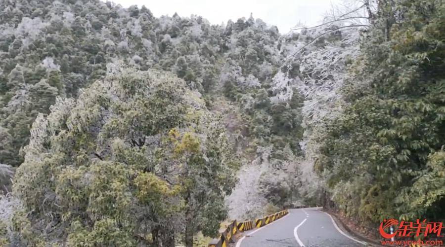 冰挂|美！广东南岭迎来2022年第一场雪