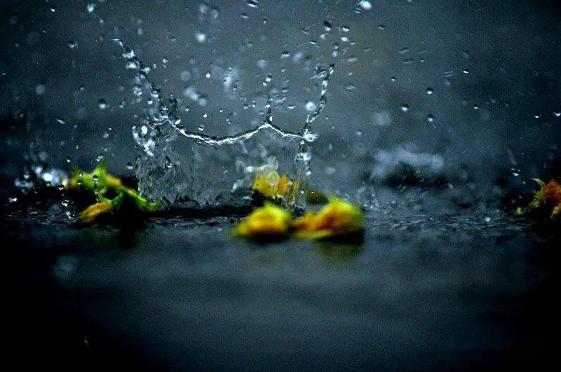 下雨的时候小松未步经典歌曲唯美萨克斯音乐美哭了