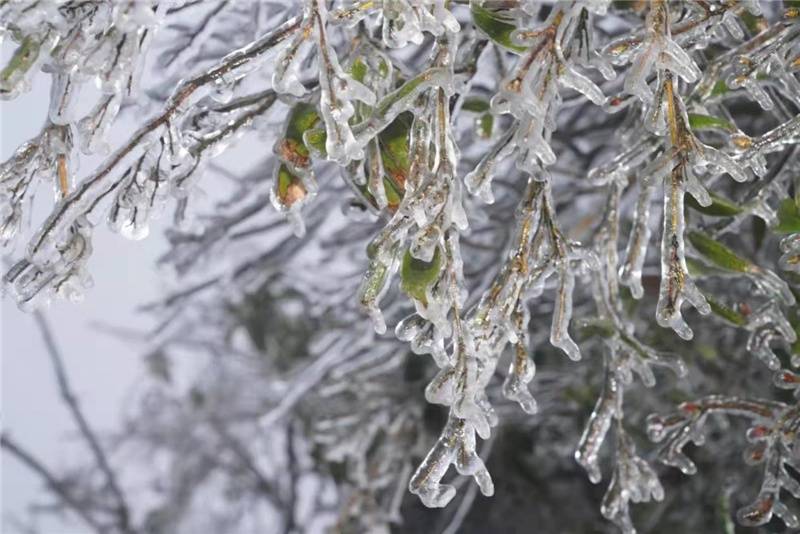 市民|广西：“南国仙山”变雪山