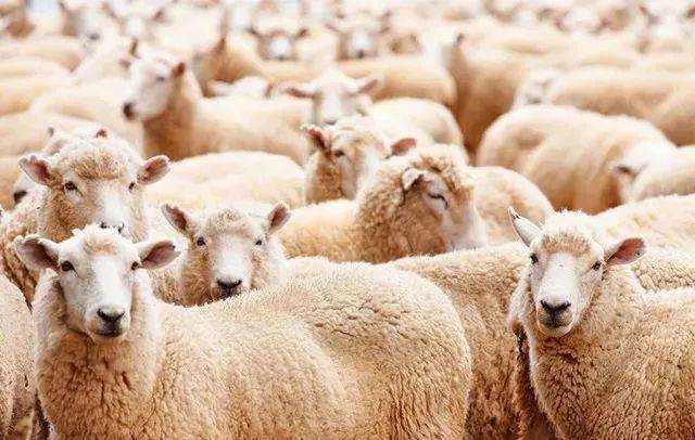 日子 春天的浪漫,藏在日子里