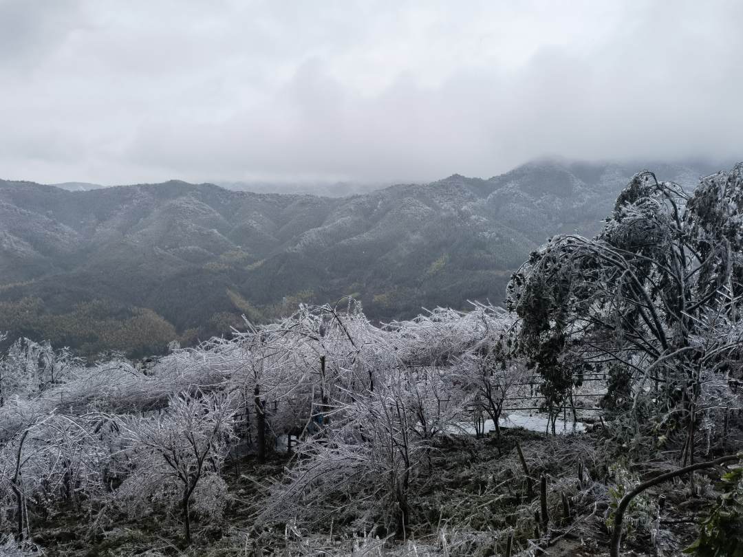 山群峰|【粤看粤美】银装素裹岭南金子山