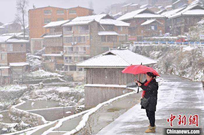 影响|贵州春雪落梯田