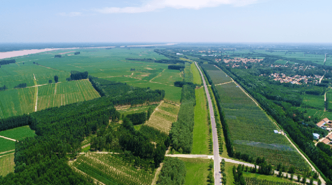 邹平市台子镇打造沿黄产业高质量发展综合示范区