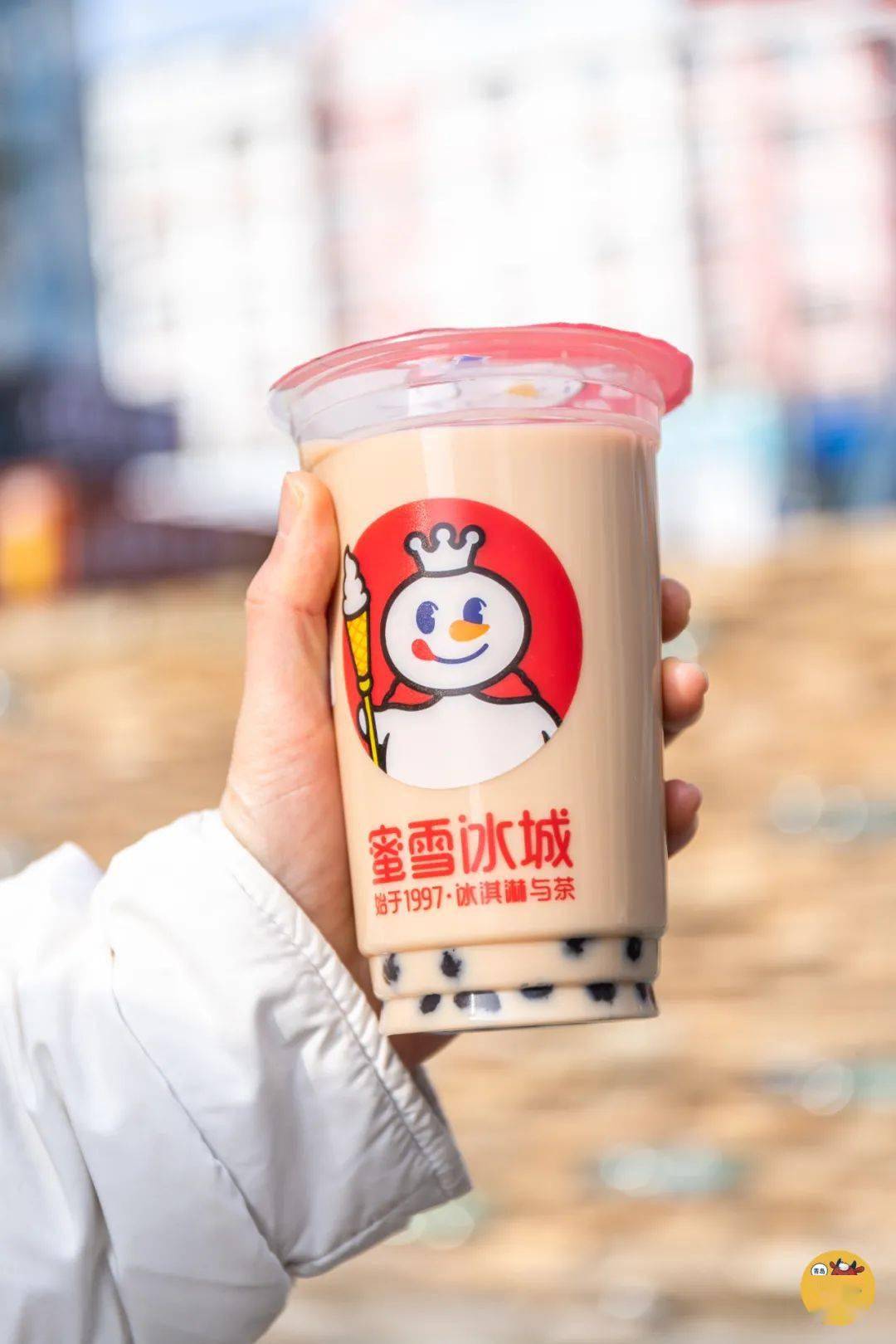 珍珠奶茶 066蜜雪冰城奈雪的这款纯茶是由铁观音与黄金桂糅合育成的