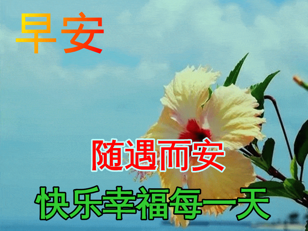 2月21日早上好祝福语图片大全问候动态表情图片大全