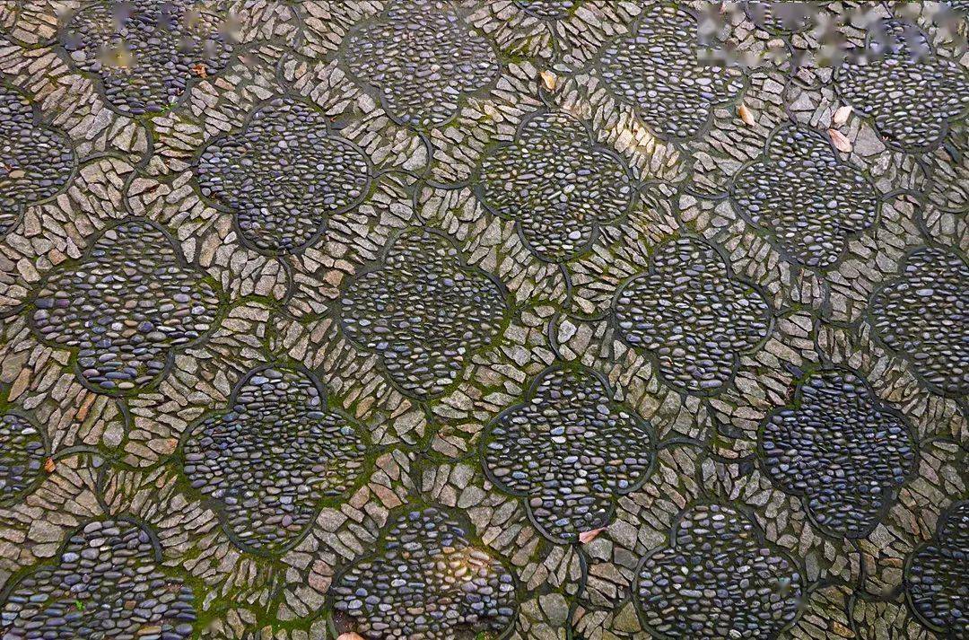 海棠|地上织绣，苏州园林的花街铺地