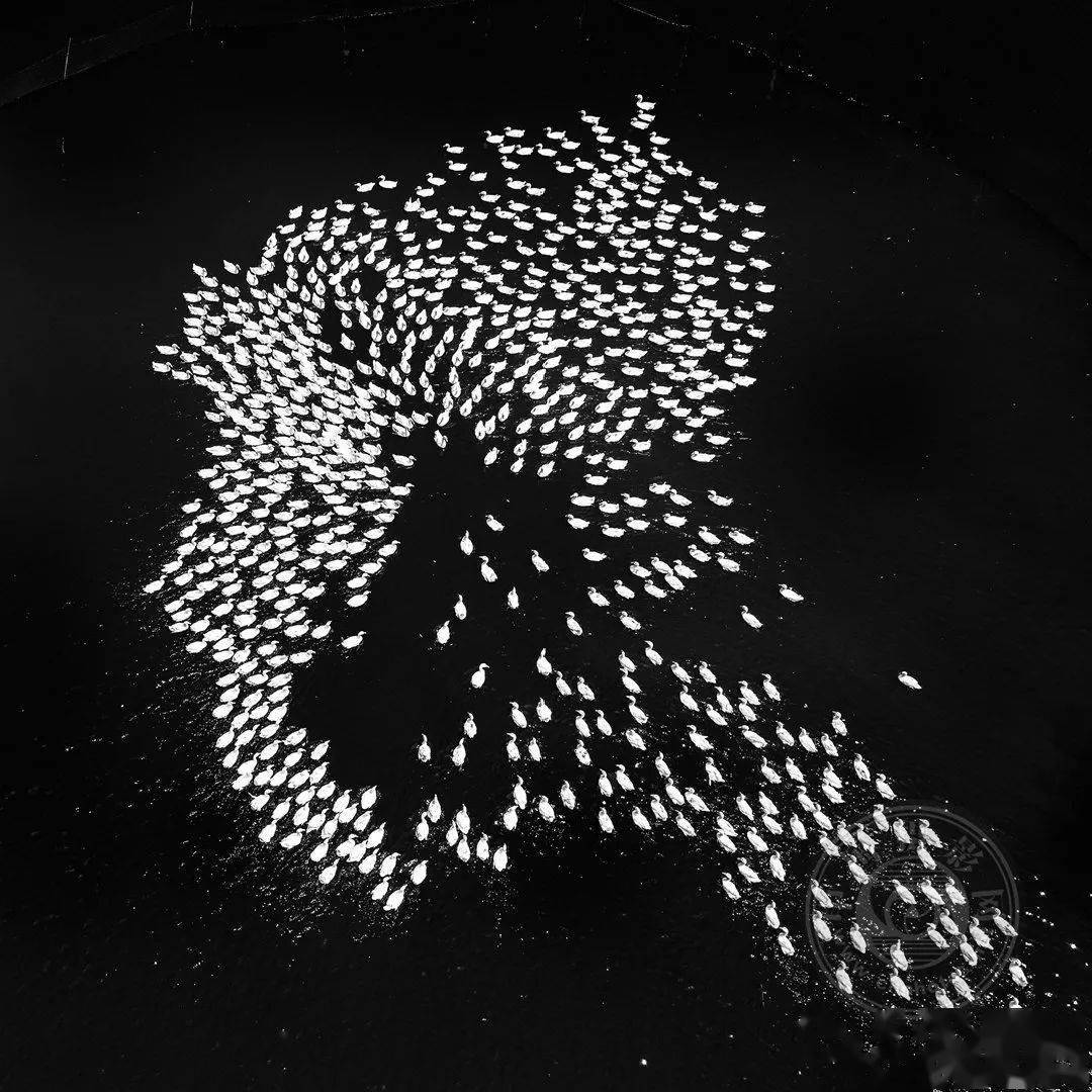 2021第二届“鸟瞰视界”全国航拍大赛投稿作品精选（一）