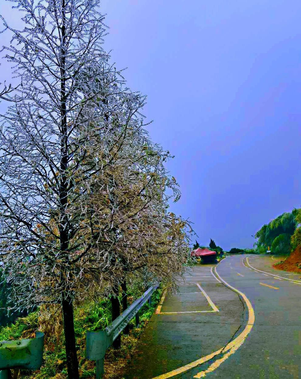 显得|耒阳：蔡伦竹海春光雪景如人间仙境