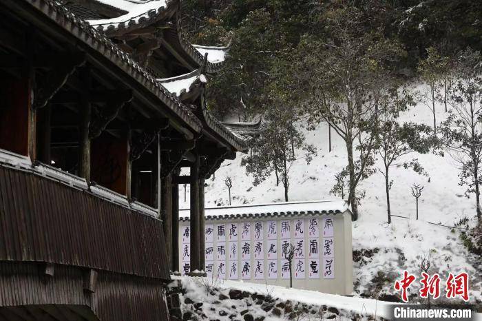 张明珉|浙江百山祖国家公园迎降雪 风景如画