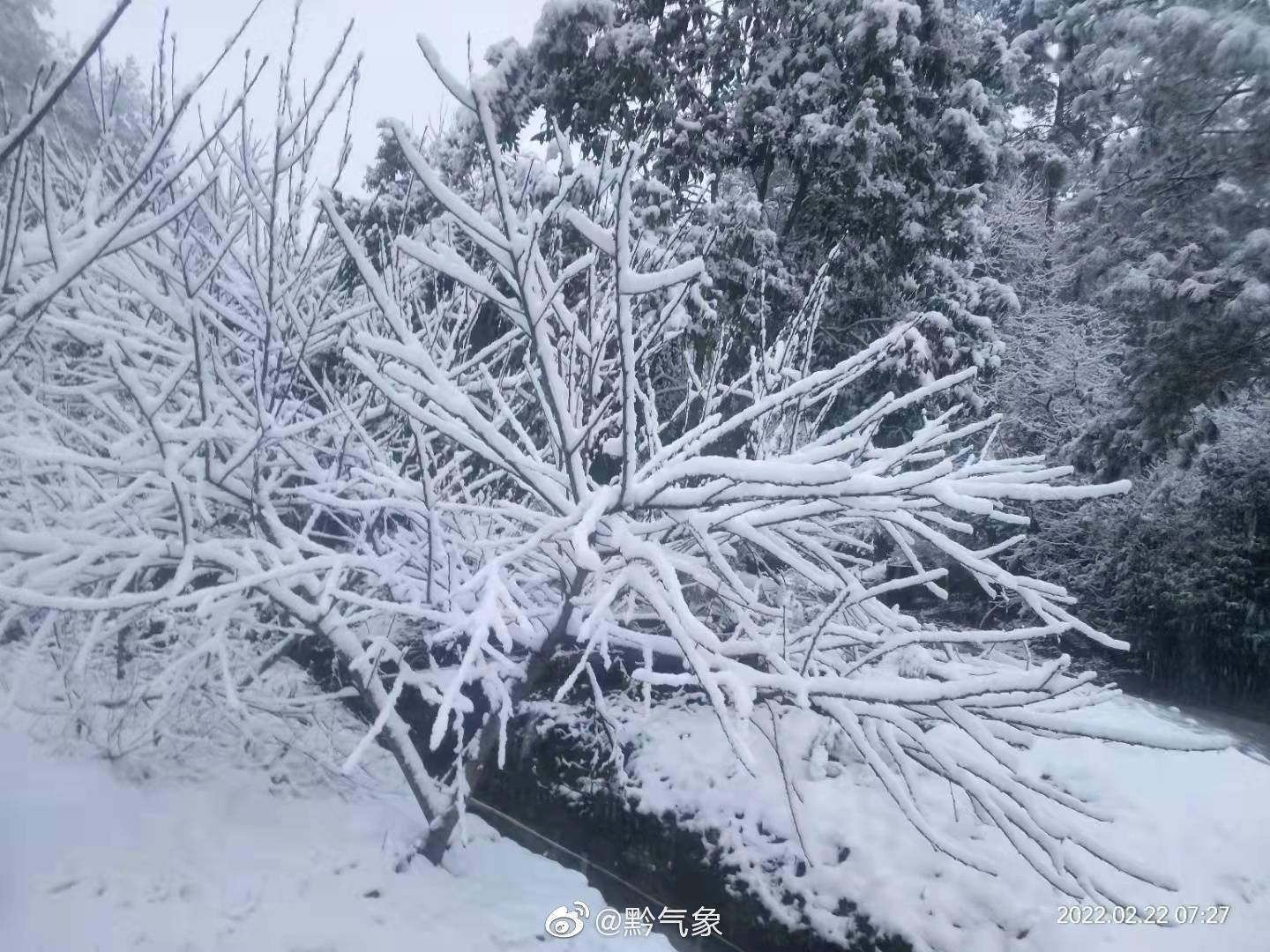 大雪转多云图片