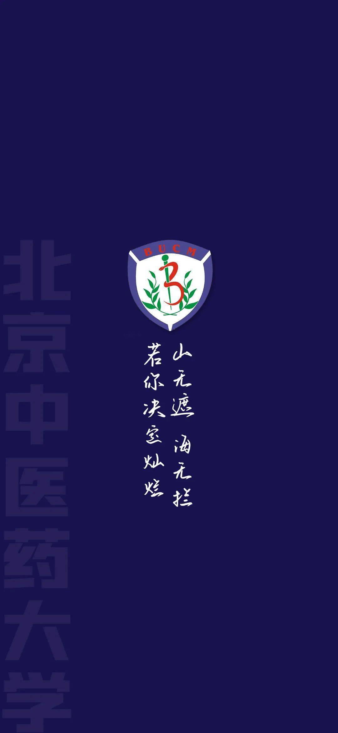 北京中医药大学09北京体育大学08北京外国语大学07中国药科大学06中国