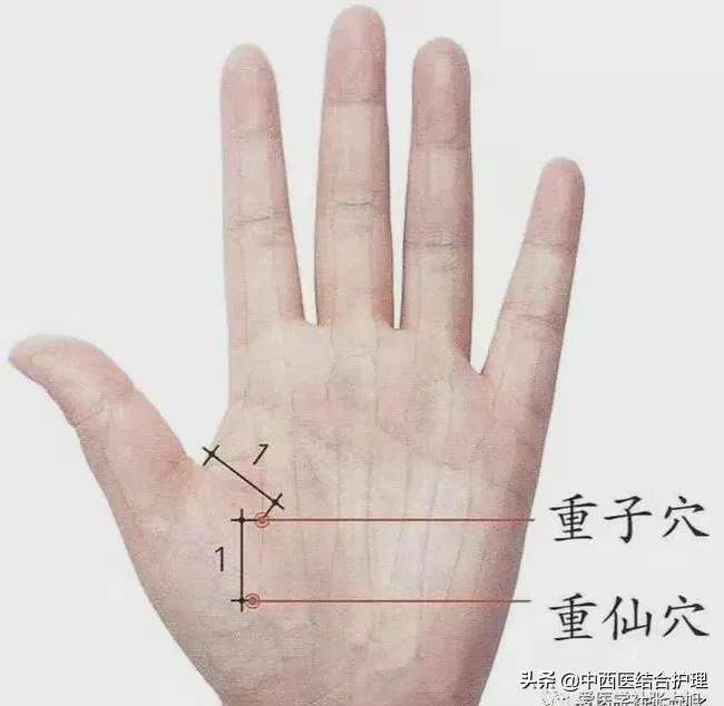 中医养生万能的小节穴