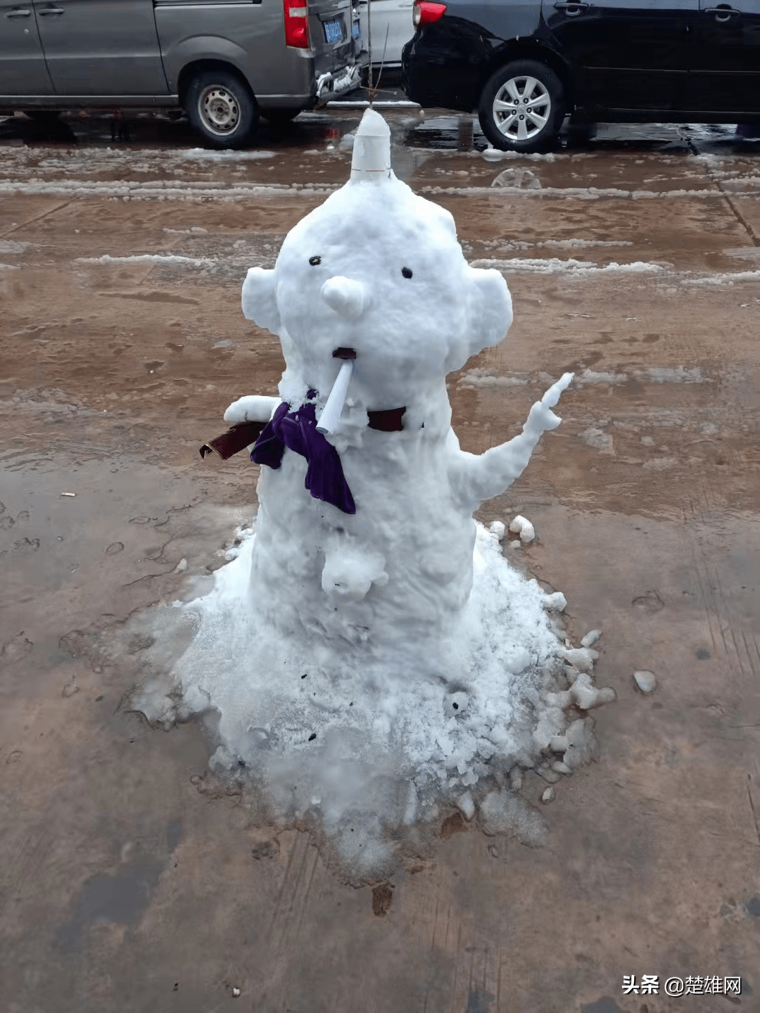 楚雄市民花式堆雪人大赛开赛快看看谁的创意最拉风