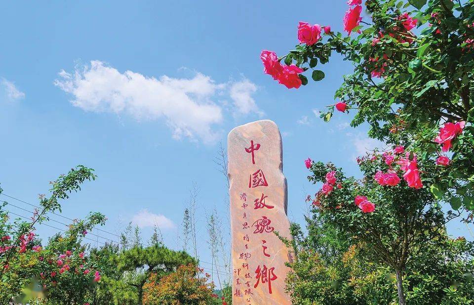 护肤品早晨不要着急洗脸，涂点精华，这样六十岁都肌肤如水！