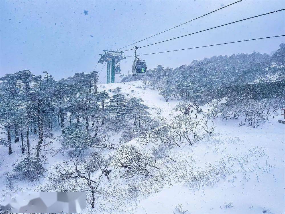 美了大理各地最新雪景大片来袭快收藏多图视频