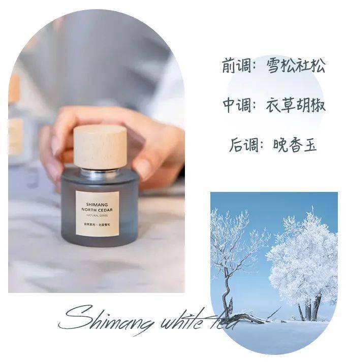 香水20元入手宝格丽同款香水！男人闻了都要“醉”倒在你怀里