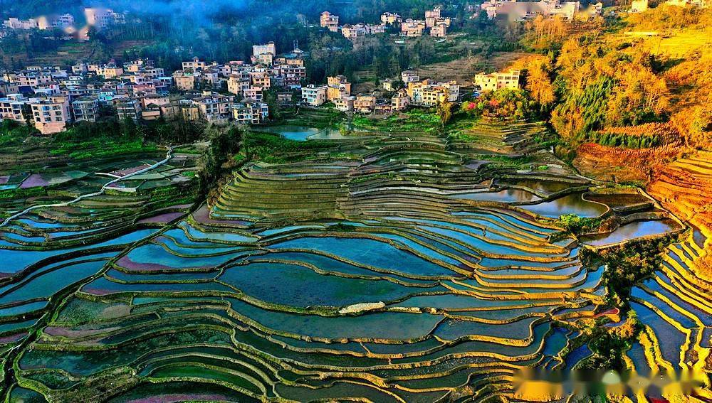 航拍变幻莫测的多依树云海梯田日出