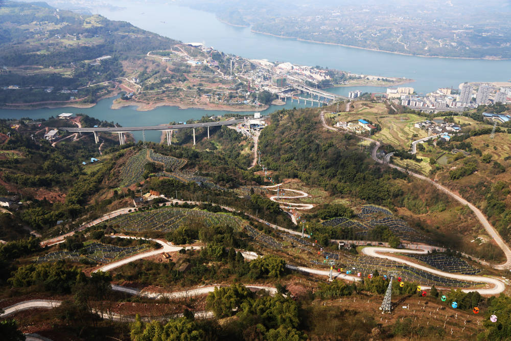 这是重庆涪陵蔺市镇泡桐村葡萄种植基地一带景象.