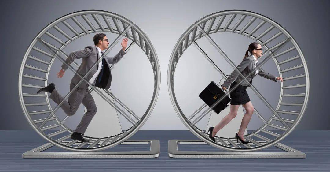 内卷最恰当的翻译是rat race(老鼠跑圈)——小仓鼠在转笼里跑个不停