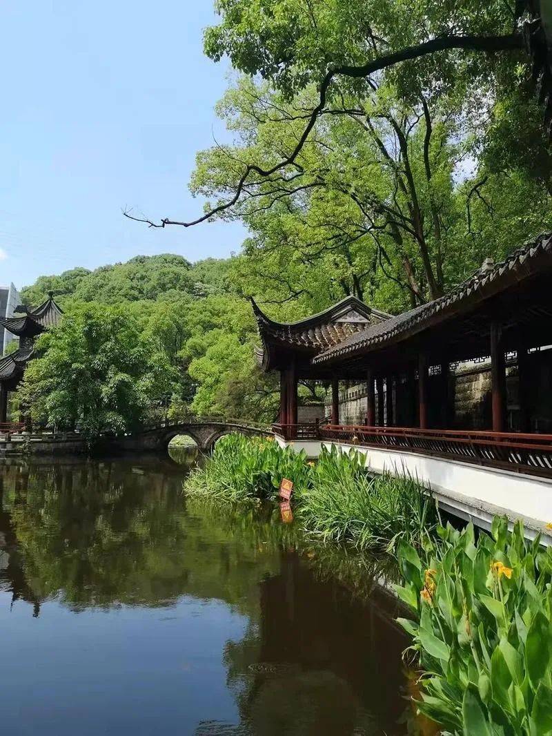 景区|气温回暖，泸州这里的油菜花已上岗！朋友，请收下这份“踏春大礼包”——