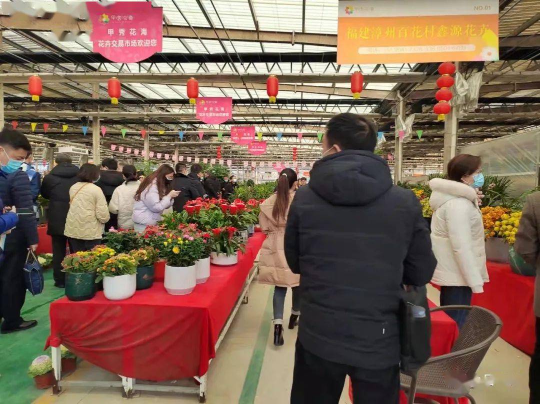 花卉市场春意浓 井芳 甲秀 生意