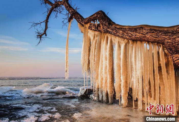 兴凯湖|中俄界湖兴凯湖冰天雪地现美景