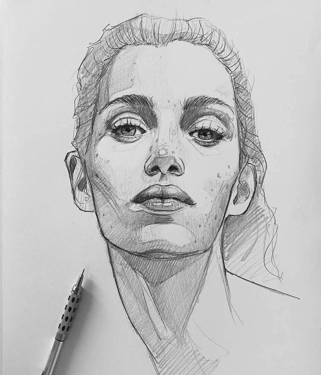 自动铅笔画的人物肖像和动物素描精彩干净