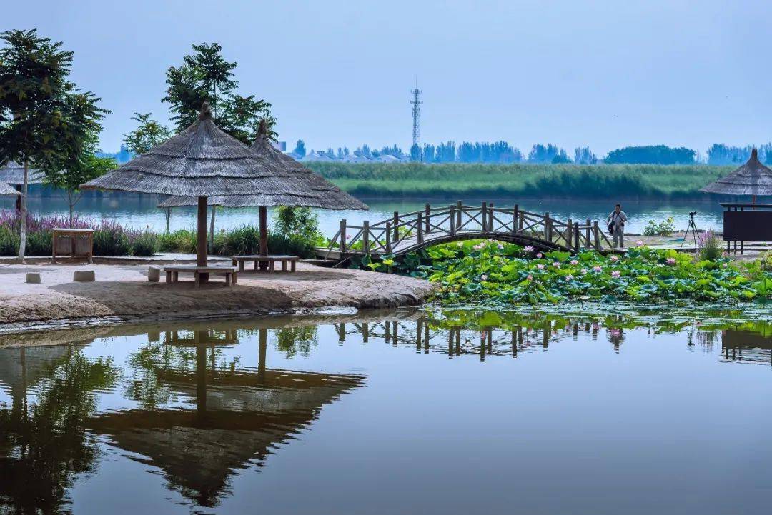 银川鸣翠湖国家湿地公园2022年票优惠预售来喽!