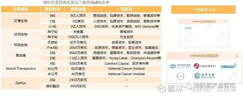 新冠、肿瘤mRNA管线占比过半,环状RNA成临床潜力股