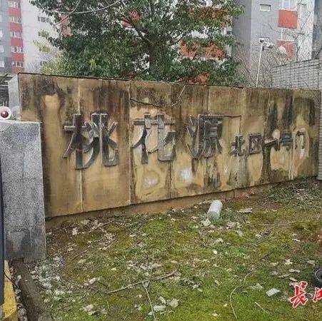 光谷三个小区“撞名”,能改名吗?_桃花源_居民_武汉