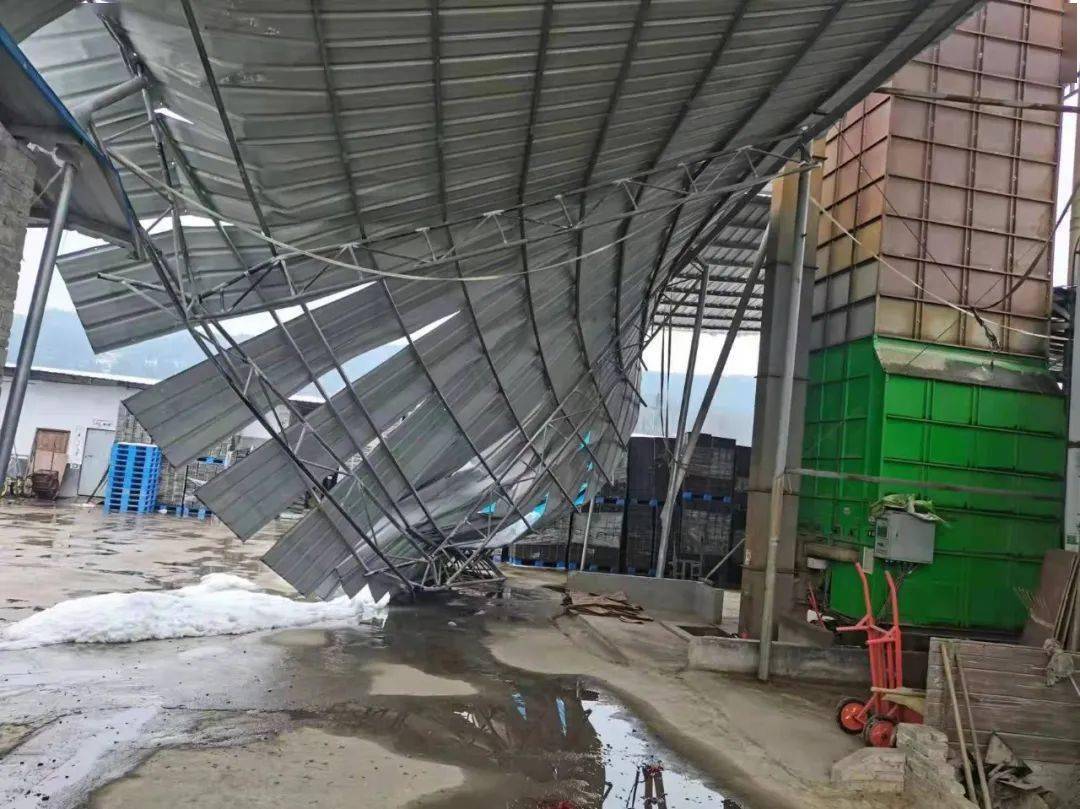 隆回暴雪成灾为何受伤的总是各种铁棚