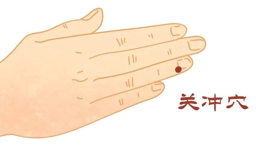 手掌_部位_无名指