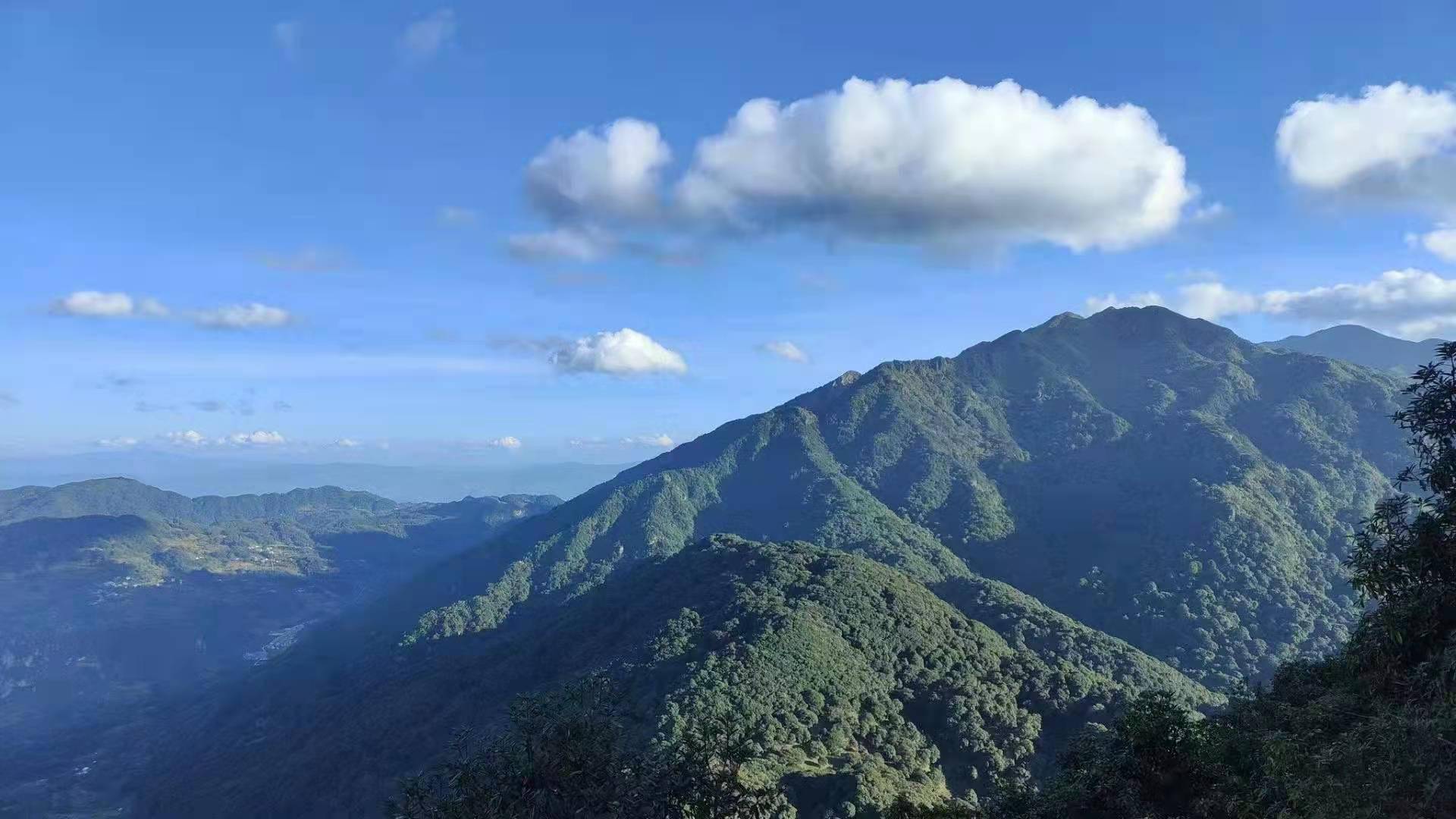 澜沧县茶山图片