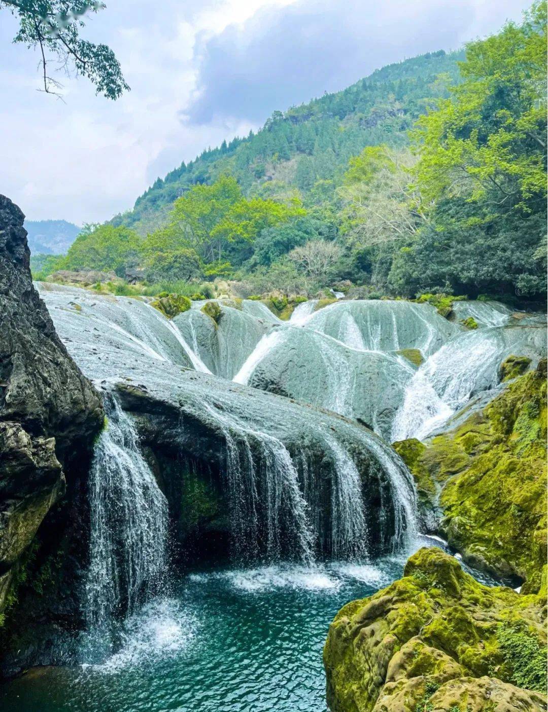 错过了百里杜鹃的花海就错过了贵州春天最美的地方万达制造贵州黄果树