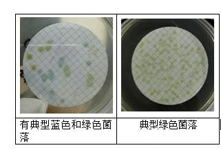 饮用水中铜绿假单胞菌的污染控制及检验