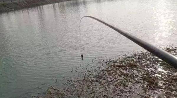 春钓用多长的鱼竿最好 老钓手说出了实话 钓友 被骗了好久 渔获 技巧 气温