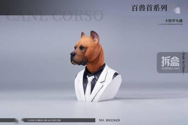 售价MOSTOYS 百兽首头雕 1/6卡斯罗犬头雕可动 兵人配件