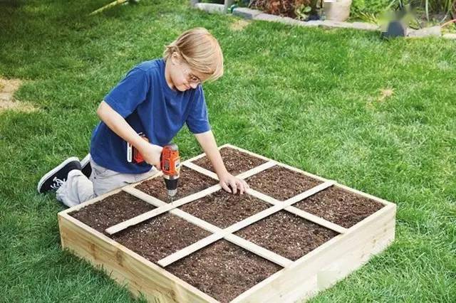 自家阳台种菜的几个小技巧,掌握好了长出来的菜吃不完_种植_土壤_菜园