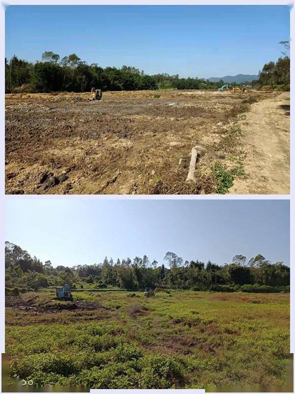 整治撂荒地新兴在行动水台镇打好整治组合拳撂荒耕地焕发新活力