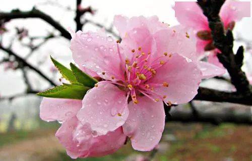 �������������д����ã�