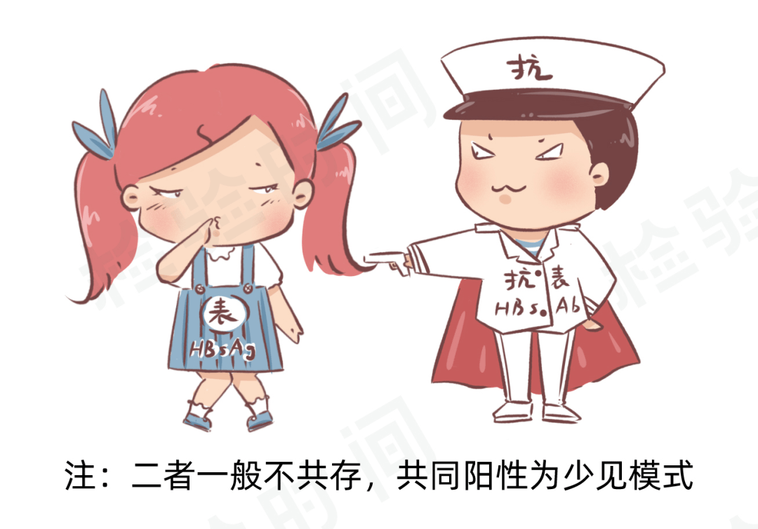 乙肝两对半怎么看24种组合一篇漫画教会你