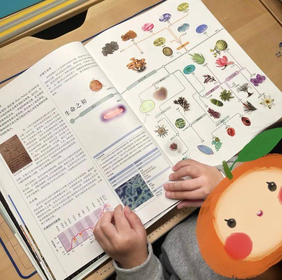 澎湃好物 | DK大百科，用世界的精彩，激活你的好奇心！