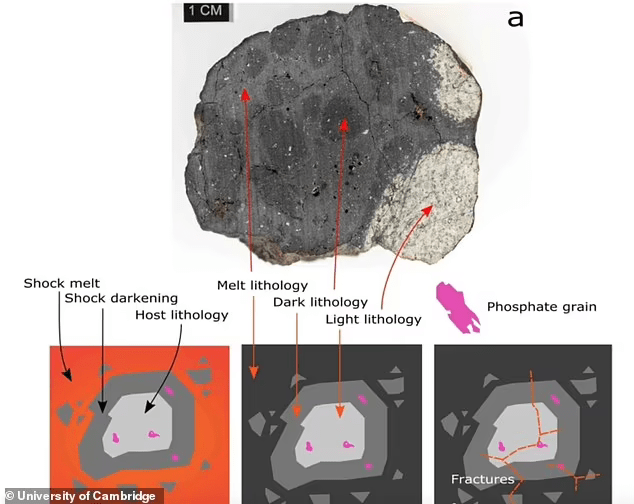 2013年在俄罗斯上空爆炸的陨石或参与了形成月球的大撞击