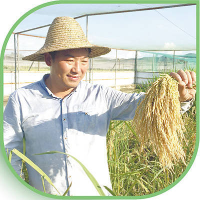 上的"接棒人"(青春派·青春奋进新时代91)_谭运洪_植物_范泽鑫