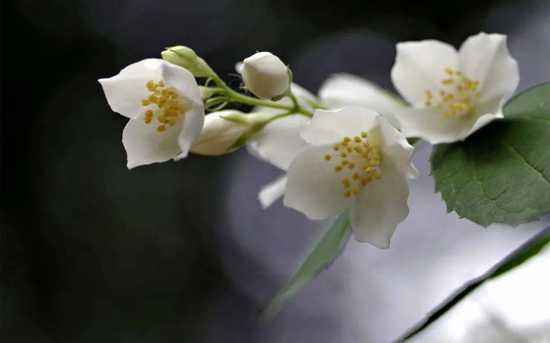 �������������д����ã�