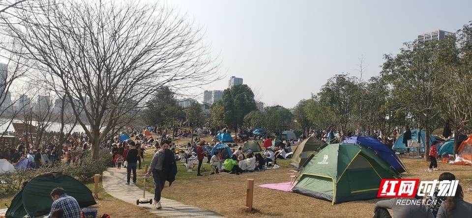 太阳|壮观！太阳一出来，草地上就“长”满了快发霉的湖南人