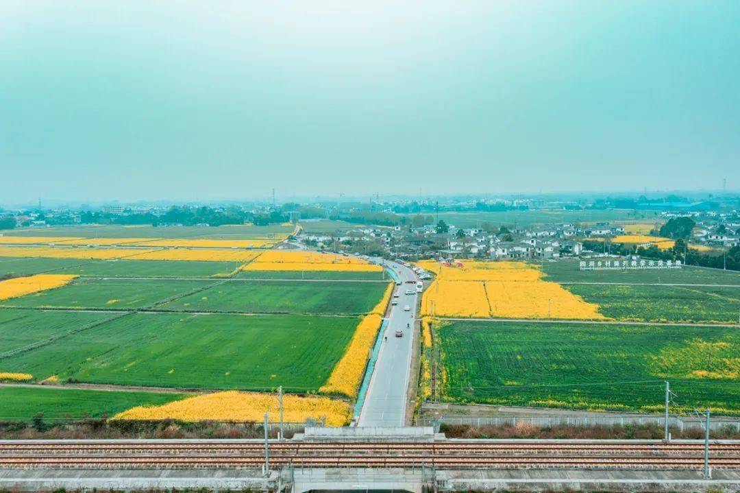 五星村3月崇州的最美油菜花季