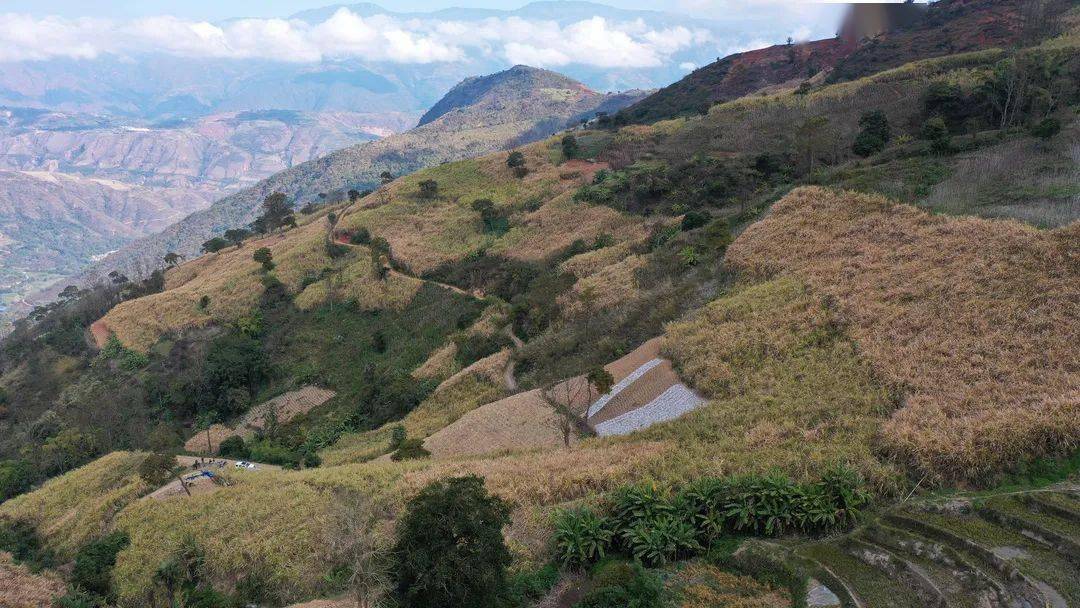 红河县石头寨乡:盘活传统产业助力乡村振兴_种植_加工_甘蔗